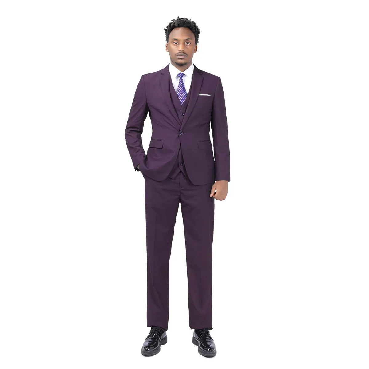 2-Piece Slim Fit Simple Designed Purple Suit